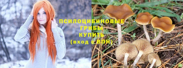 гашишное масло Белокуриха