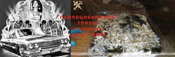 трава Тайга